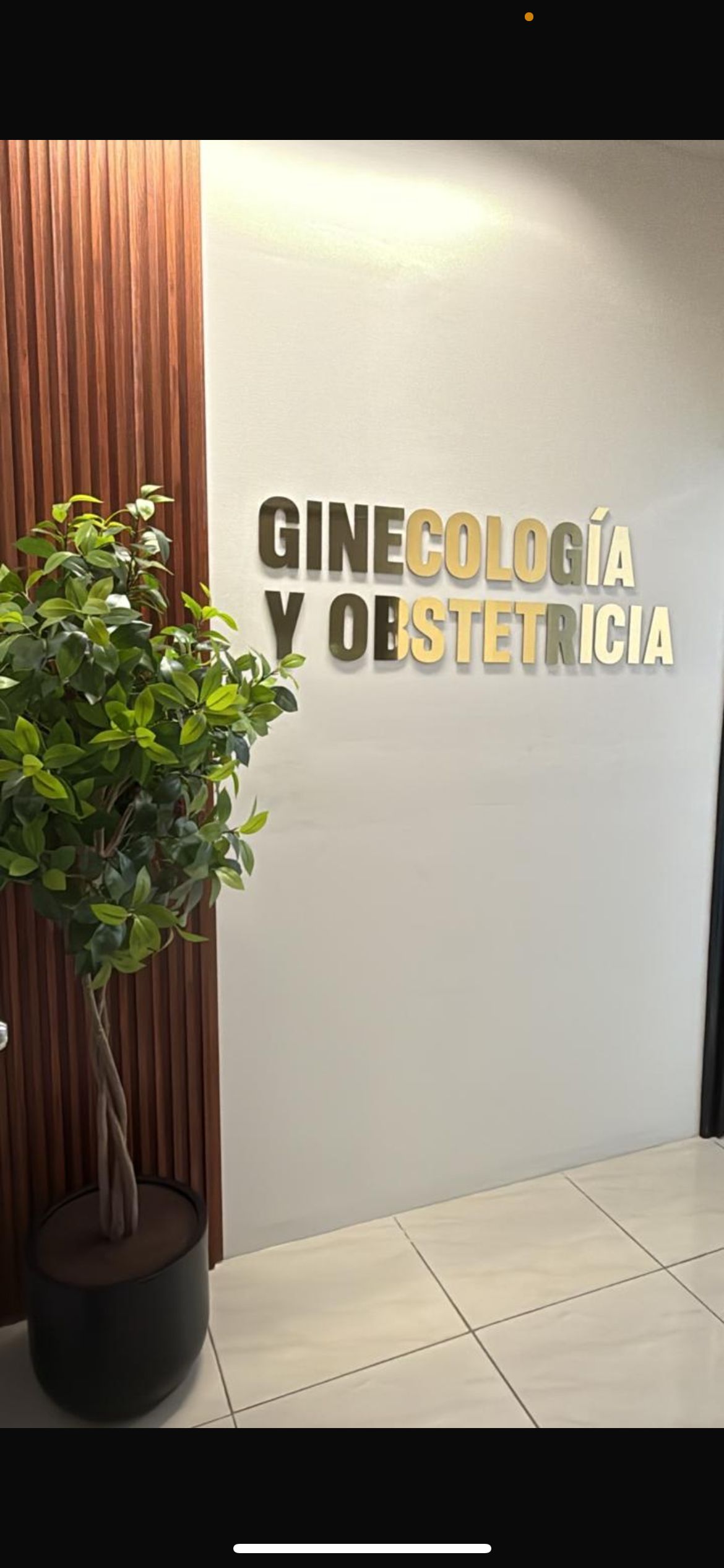 Javier Alonso Pérez García-1