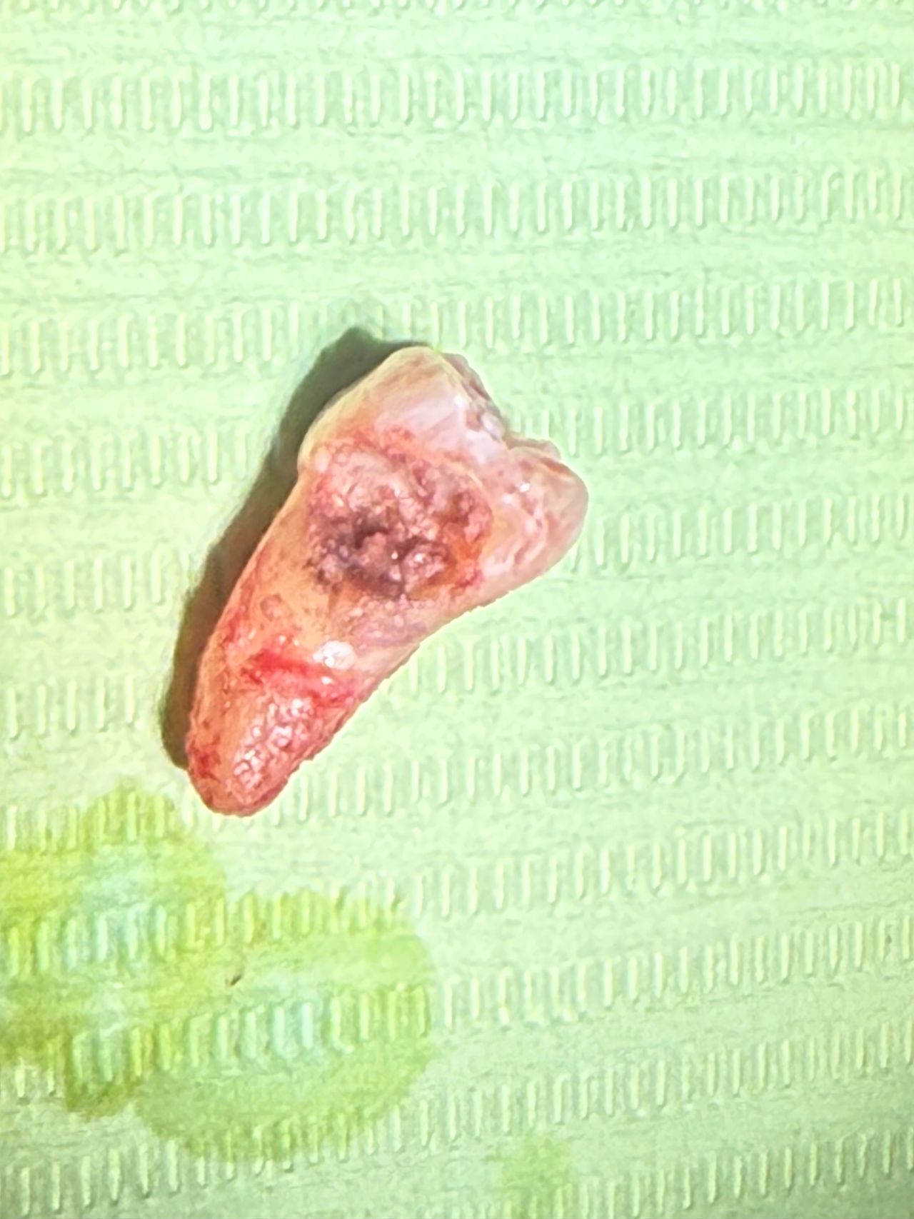 Eduardo López Méndez-34