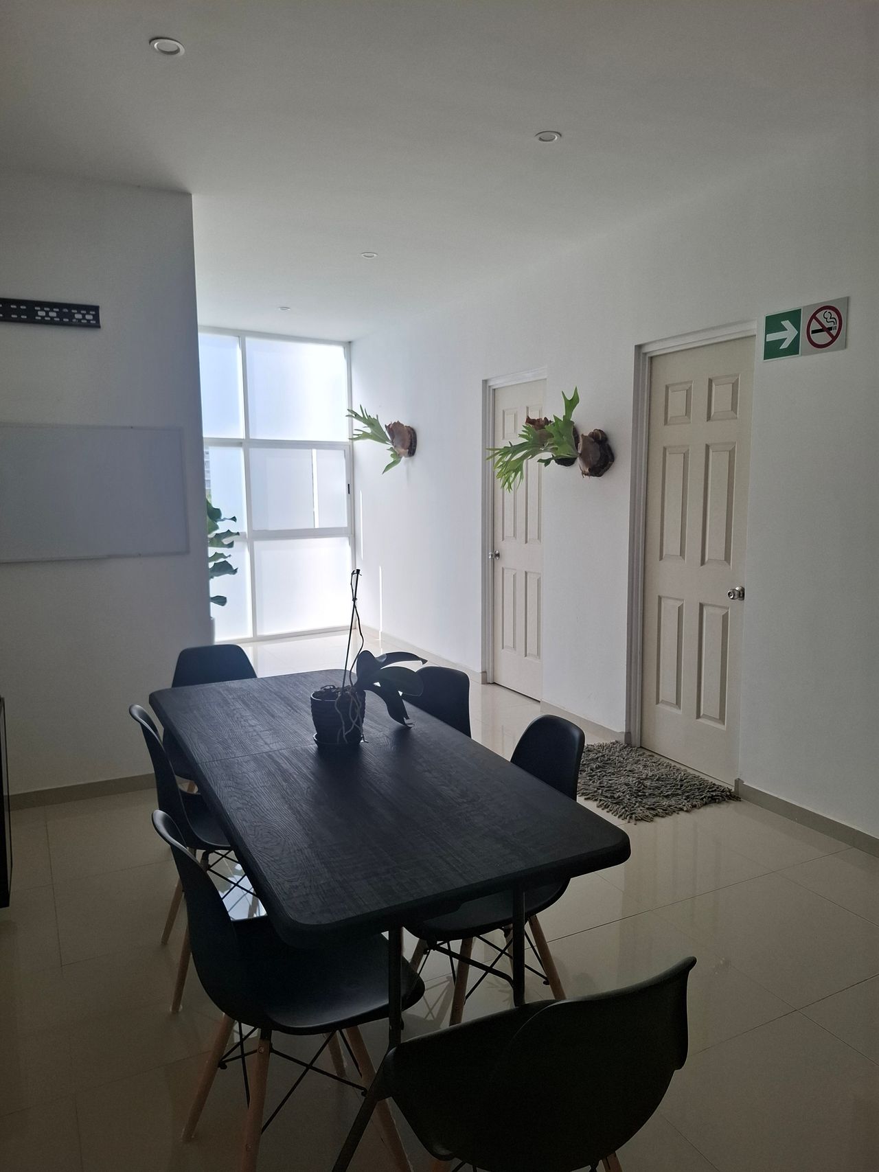 Marisela Pedraza Nieto-4