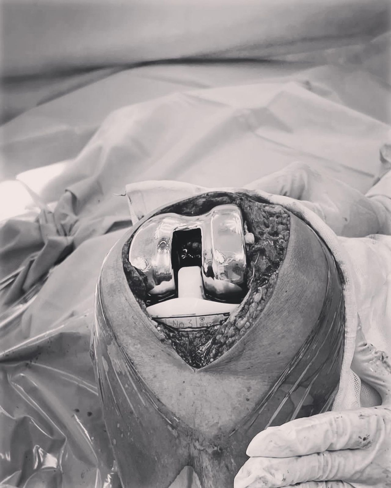 Giovanny Santander Becerra-37