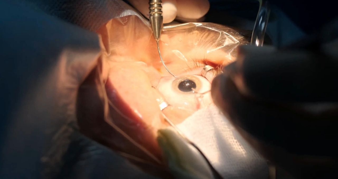 Dante Alan Guevara Villarreal-12