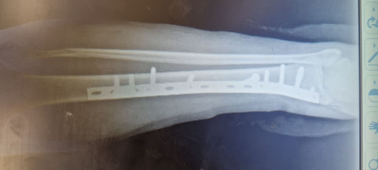 Héctor Omar González Navarro-12