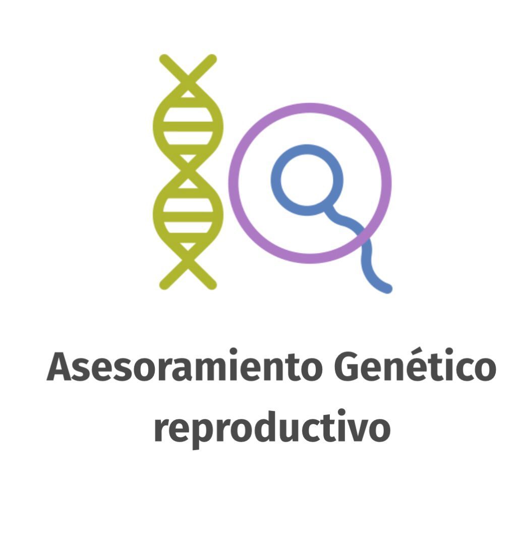 Leticia Esperanza Burgos Mora-6