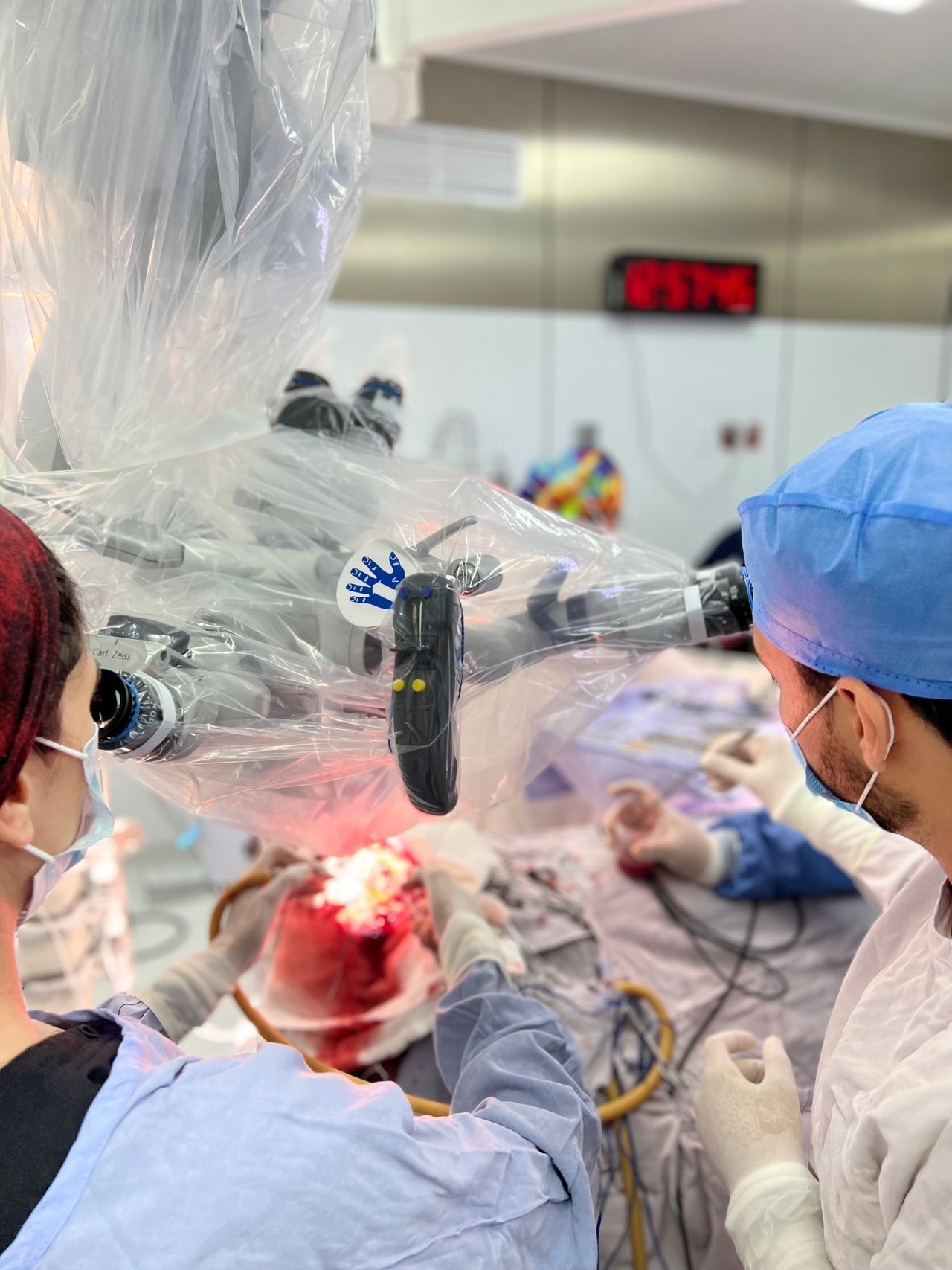 Celia Teresa De Jesús Álvarez Gamiño-10