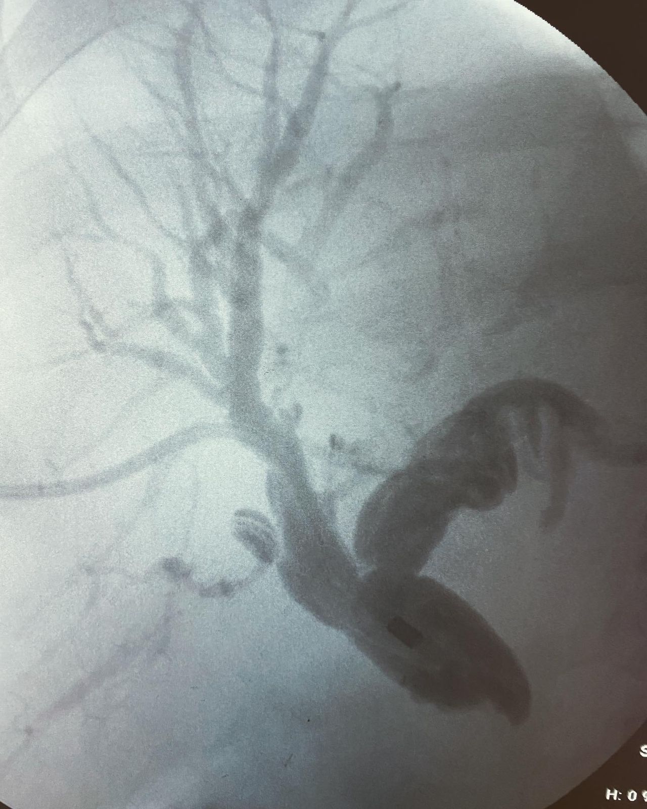 Eduardo Beato Estrada-0