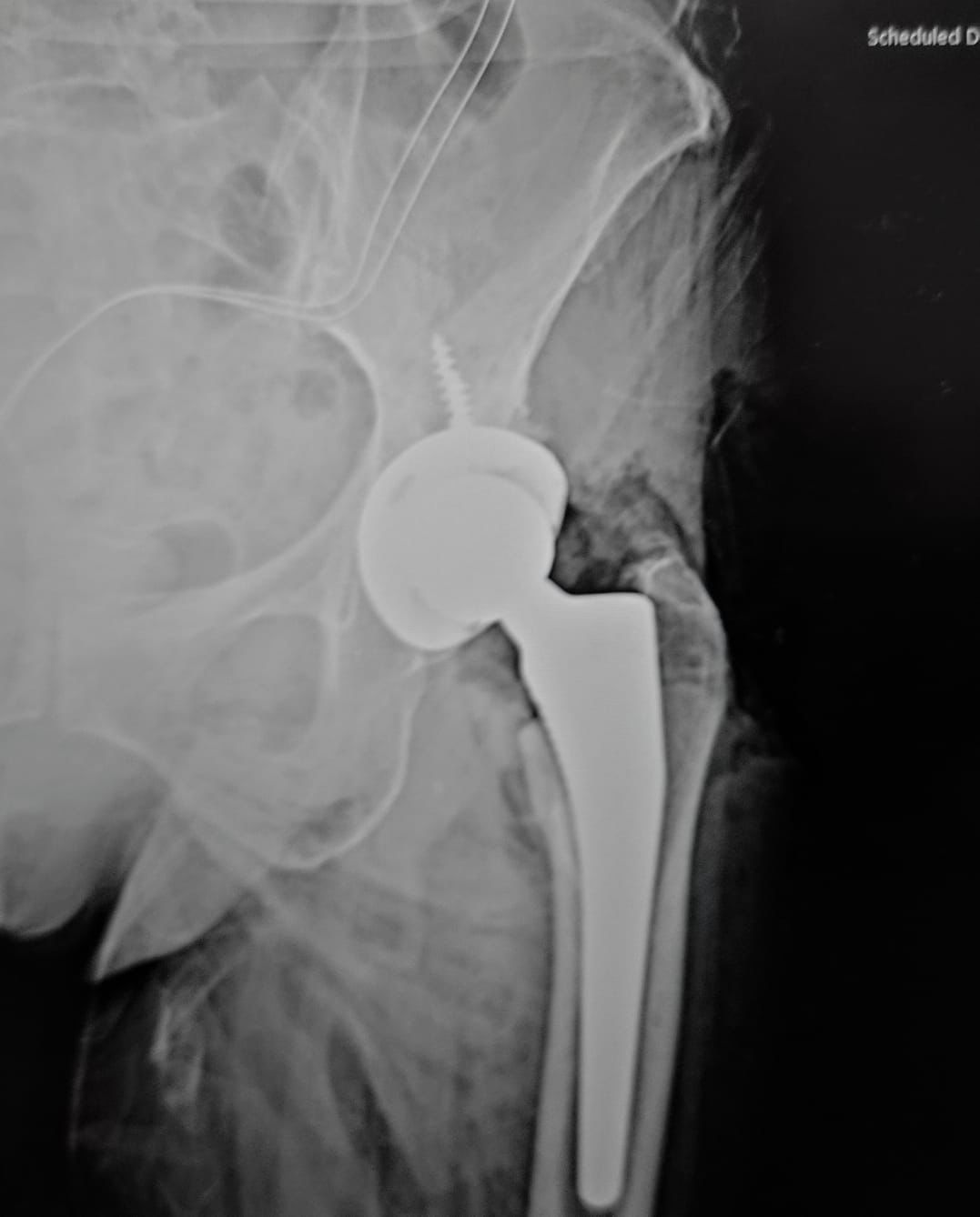 J. Miguel Zamarripa Jáuregui-17