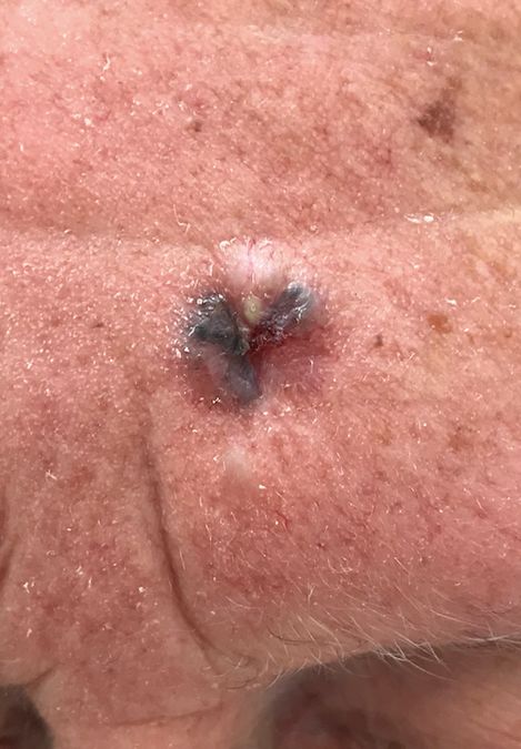 Salvador Alonso Gutiérrez Ávila-15