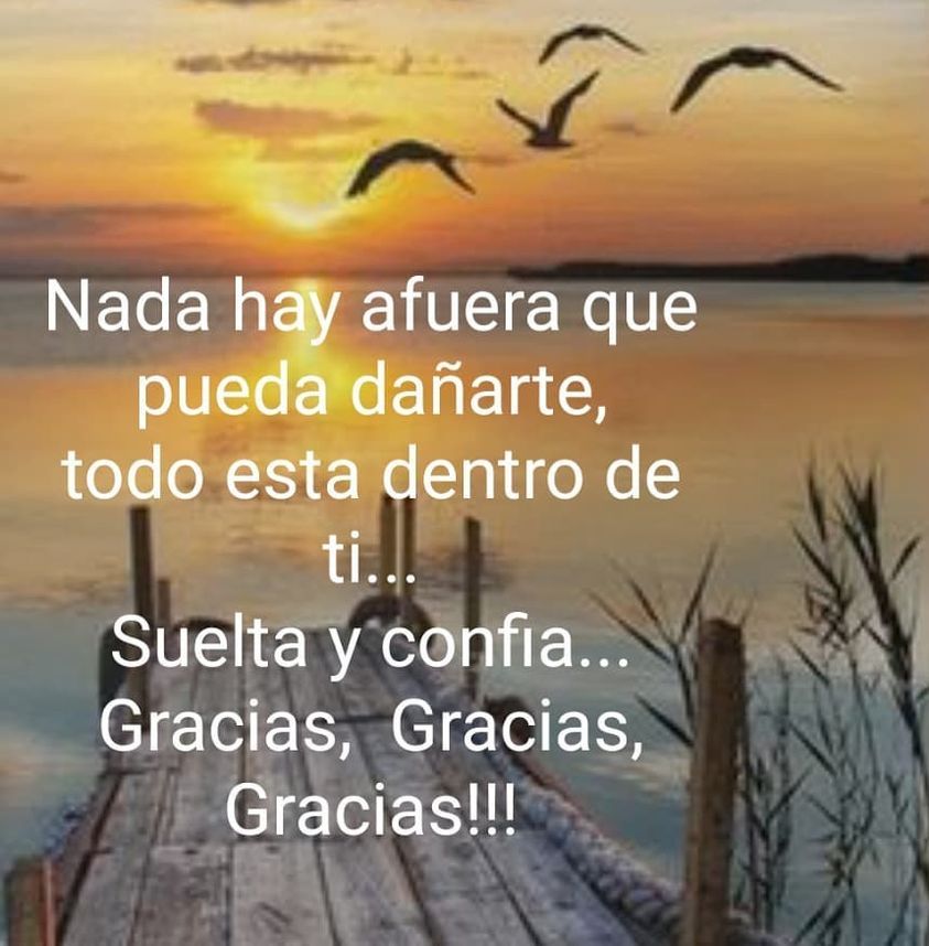 Angelica Meza Lopez-8