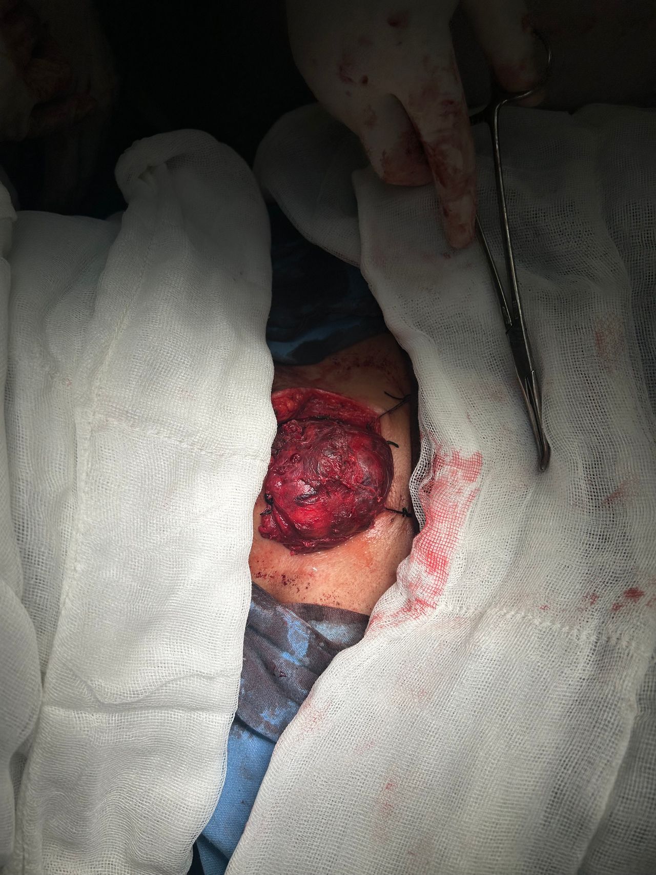 Luis Ernesto Maldonado Villela-1