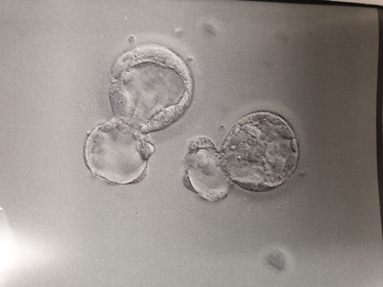 Jorge Alberto Rodriguez Pezino-34