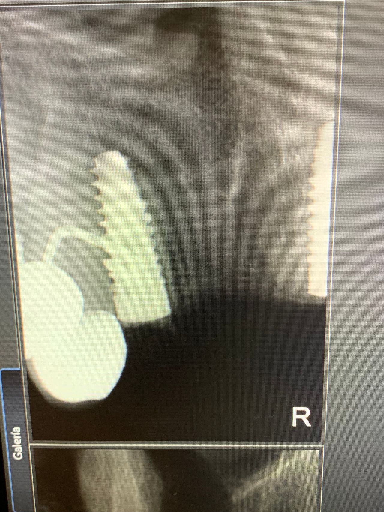 Alberto Miguel Rodriguez Soto-8