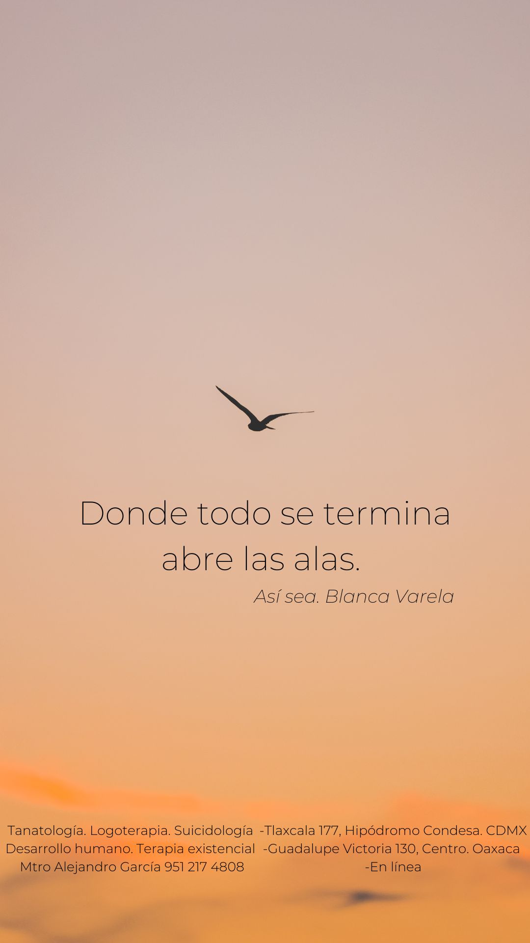 Alejandro Guillermo García García-52