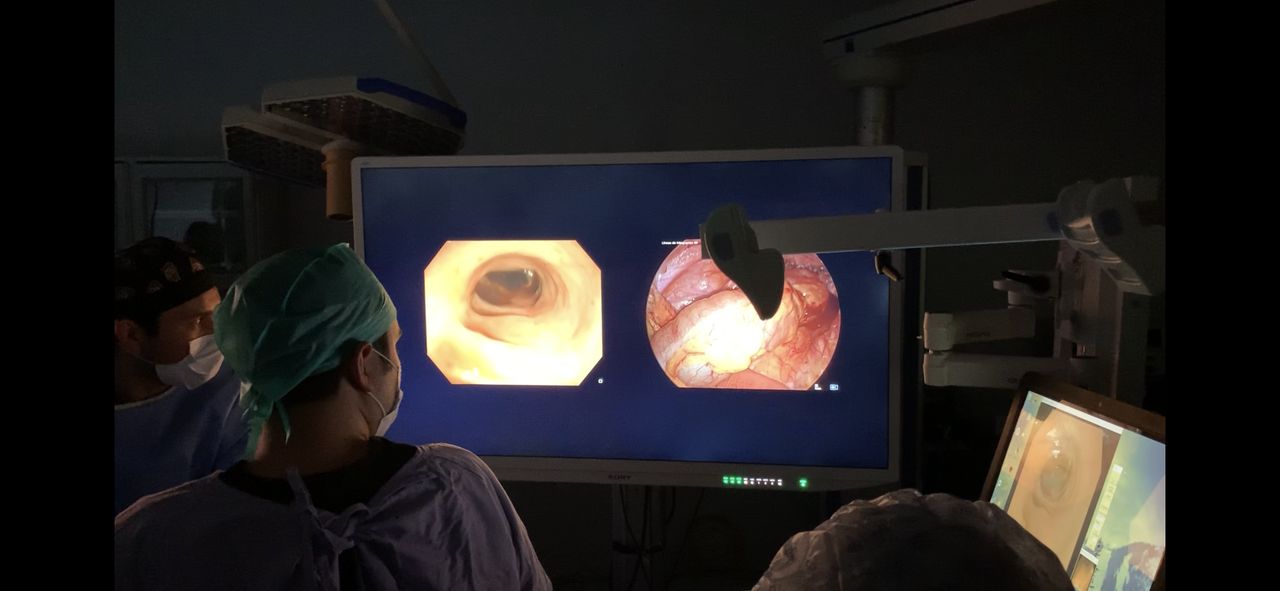 Miguel Tapia Alanis-13