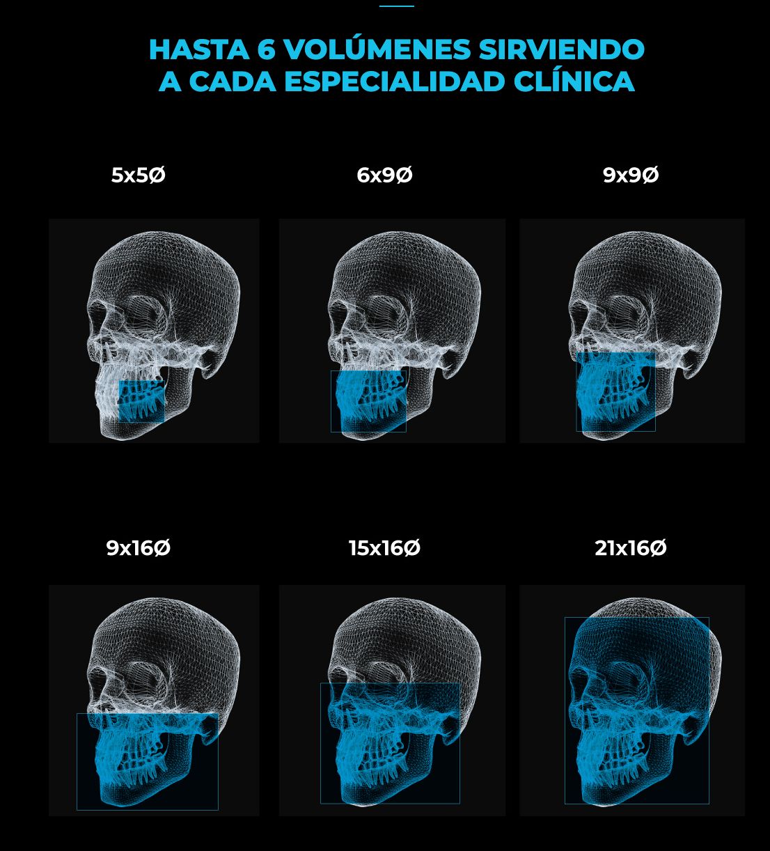 Alfonso Ayala Gómez-3