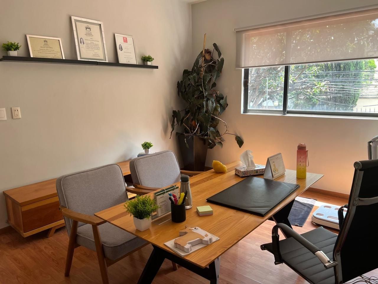 Jesús Eduardo Prior Rosas-0