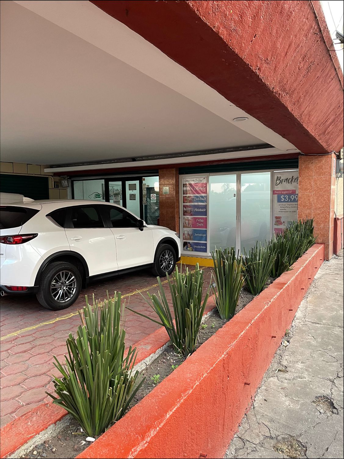 Olivia Raquel Hernandez Morales-5