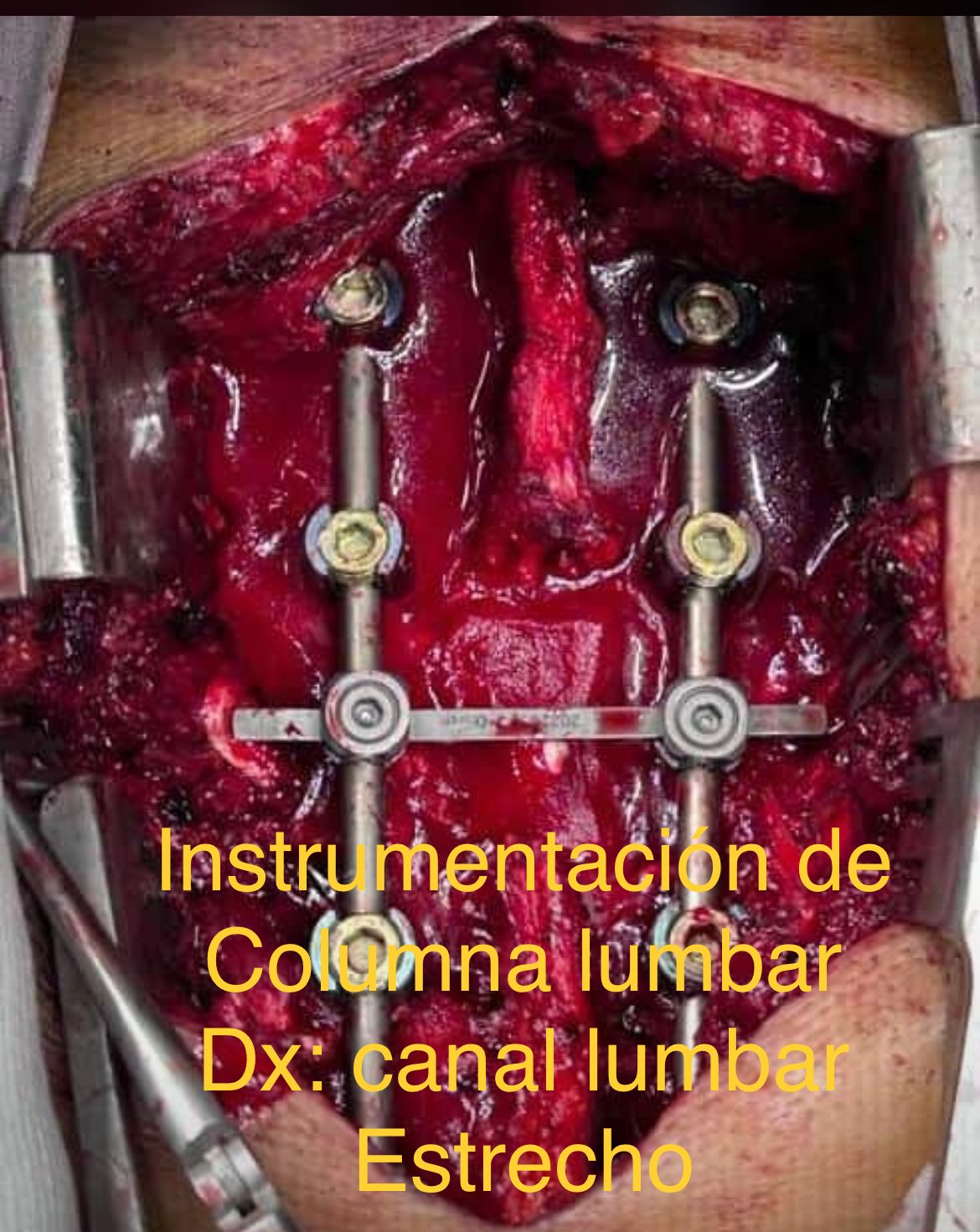 Emmanuel Bolaños Cortes-12