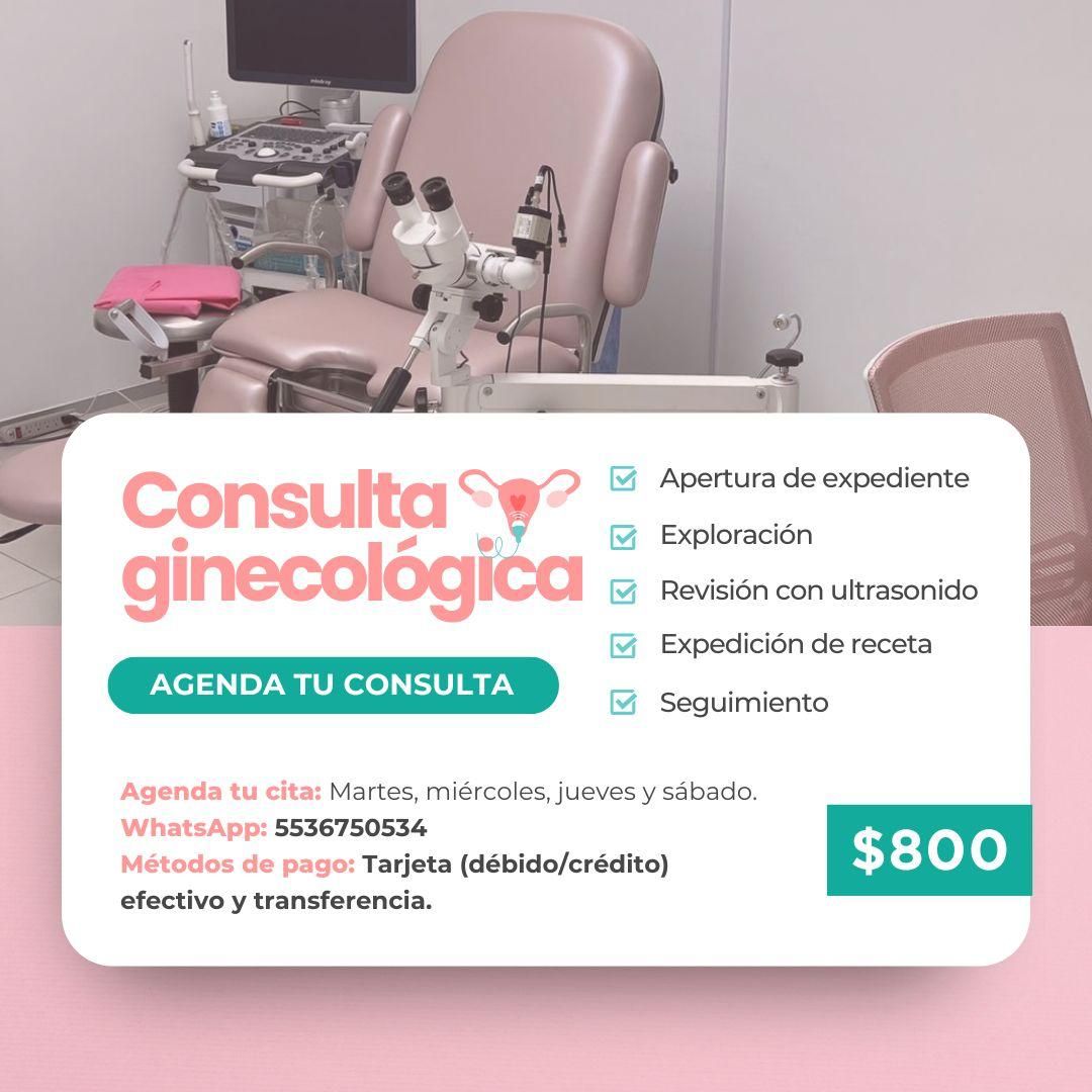 María Fernanda Santiago Vázquez-1