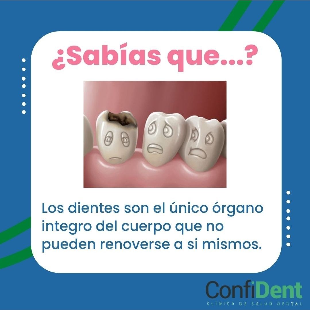 Diego Chavez Hidalgo-3