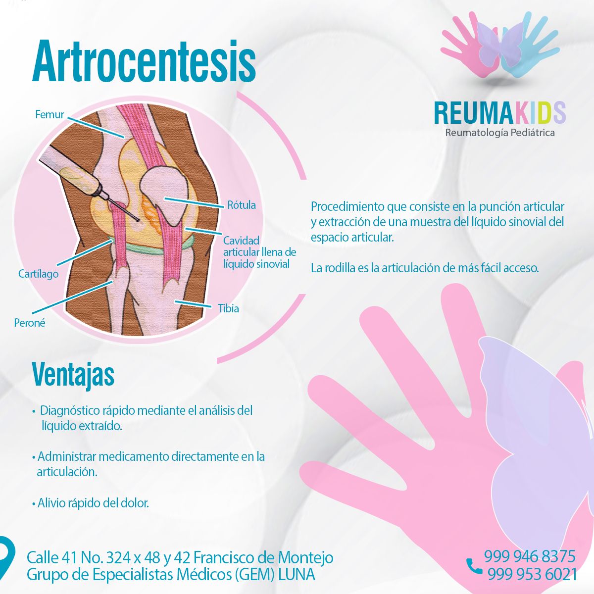 Andrés Noé Rodríguez García-20