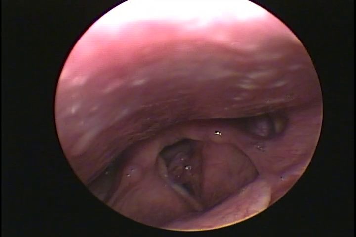 Rogelio Chavolla González-4