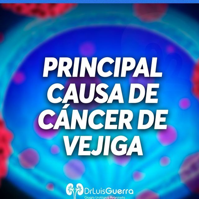 Luis Alberto Guerra Zepeda-184