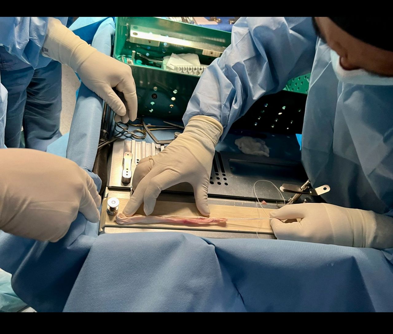 Luis Mario Montes Jimenez-17