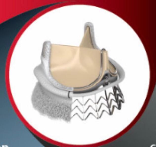 Victor Manuel Carmona Delgado-20