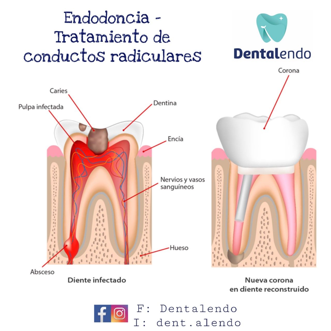 Alejandra Heredia Morán-10