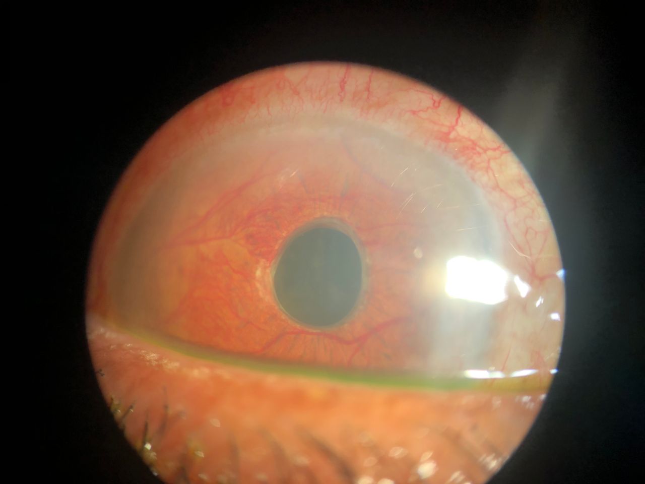 Ivonne Jocelyn Rivera Alvarado-36