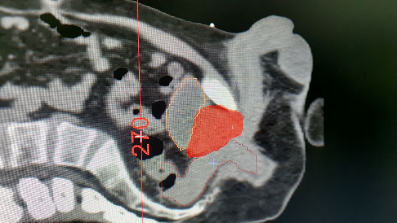 José Manuel García Ramírez-4