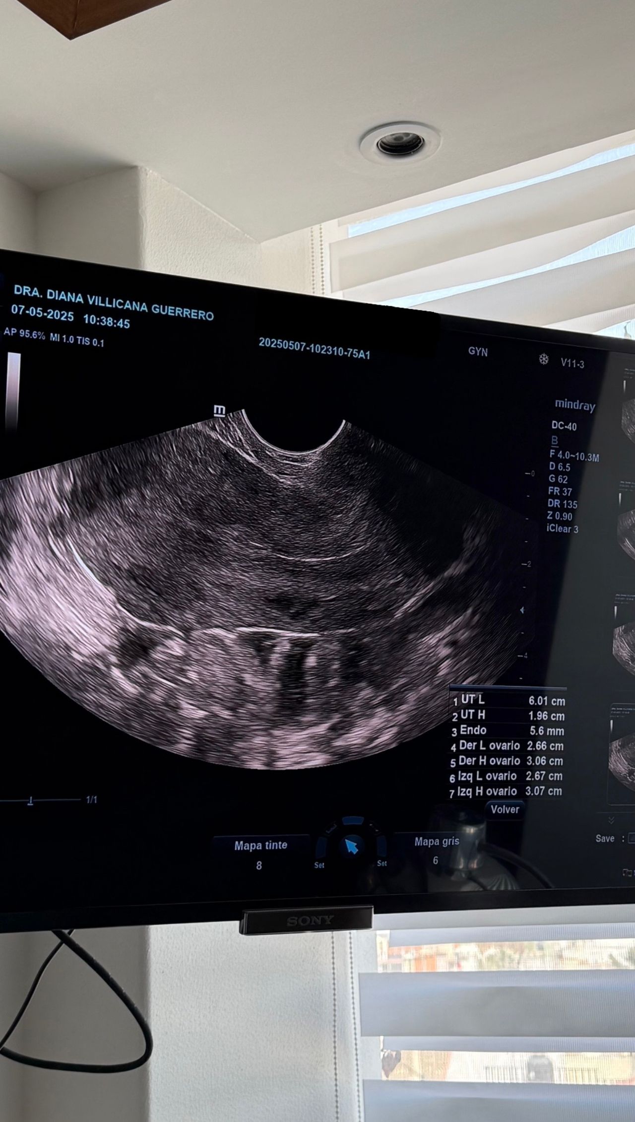 Diana Villicaña Guerrero-1