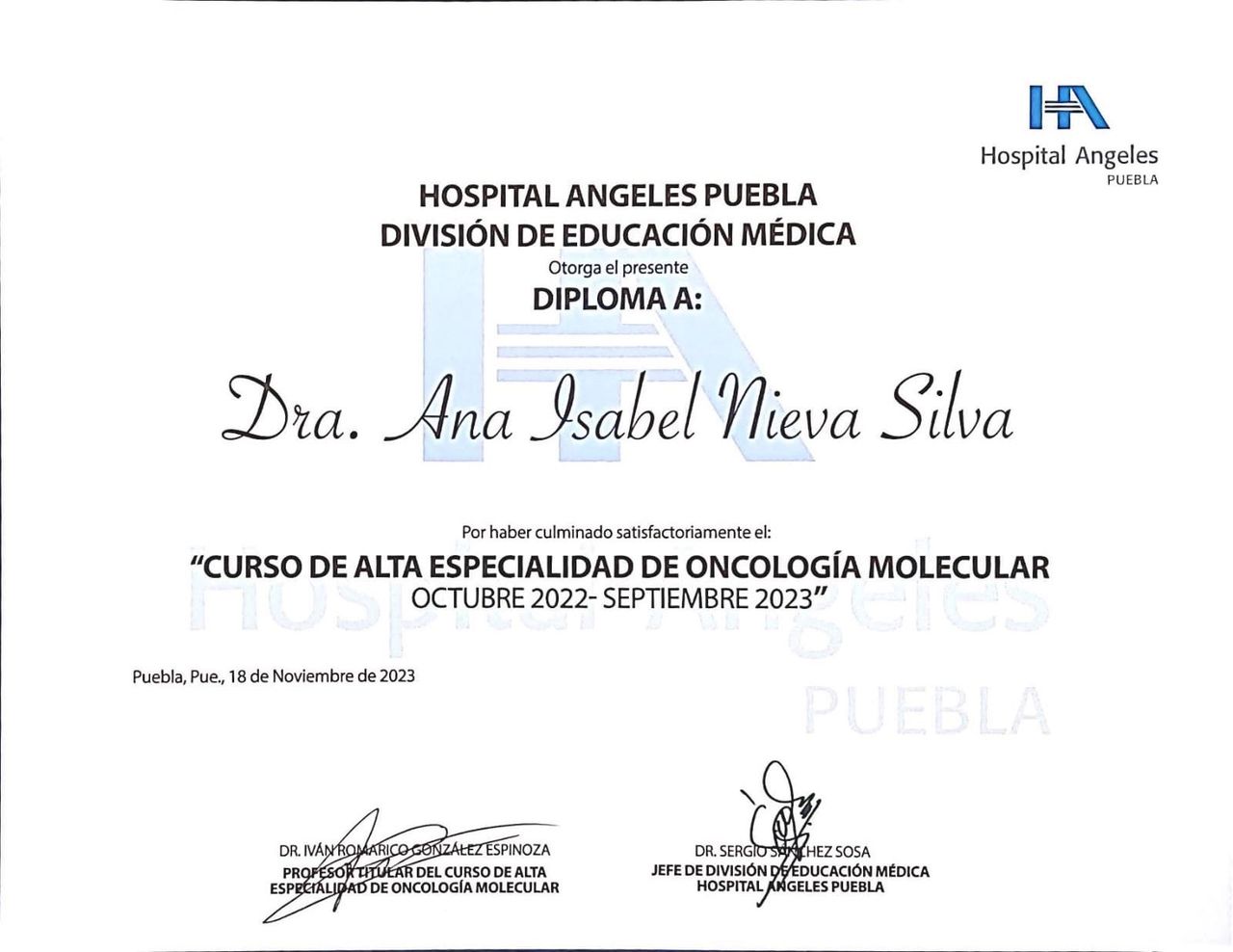 Ana Isabel Nieva Silva-3