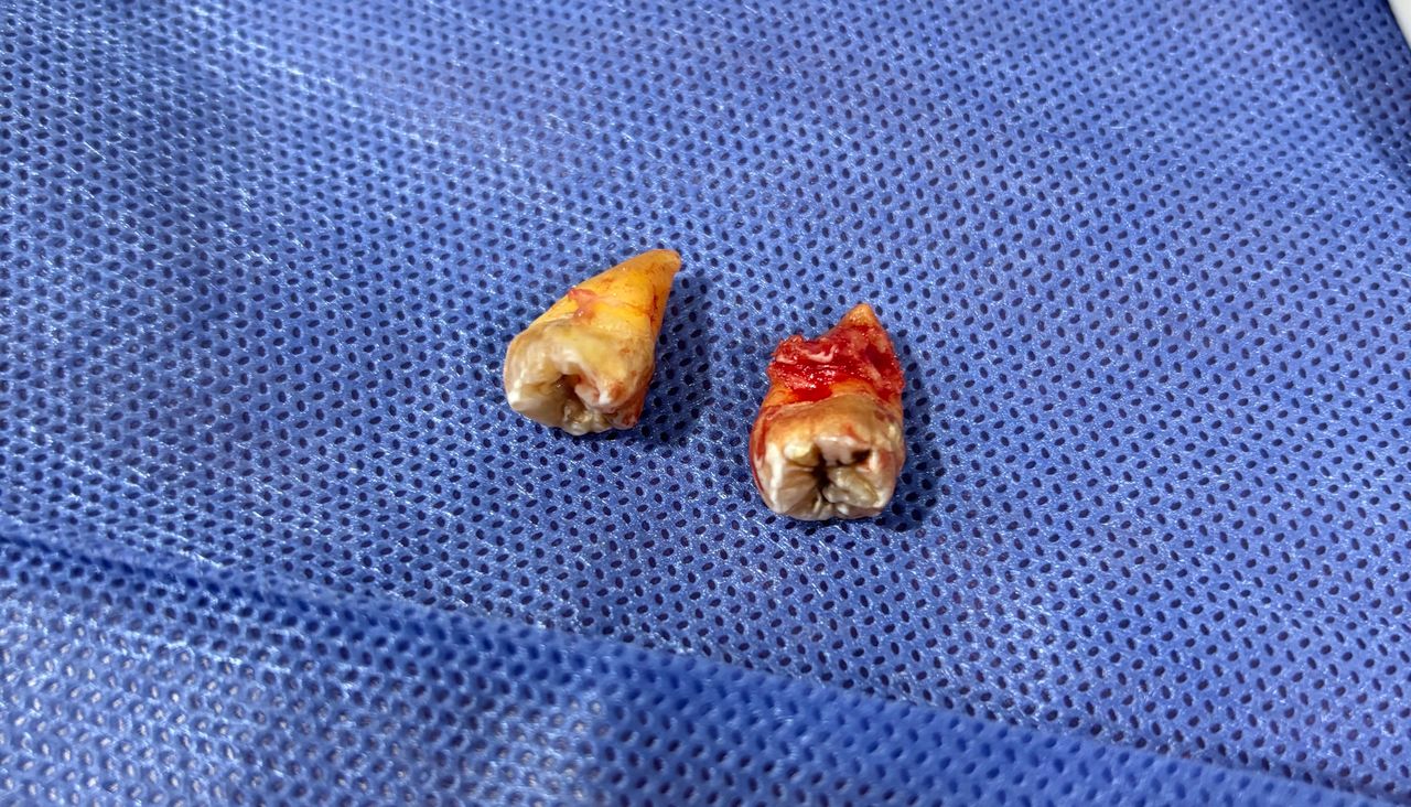 Omar Alejandro Ortiz Rodriguez-9