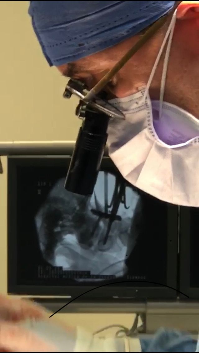 Jesus Rocha Maguey-7