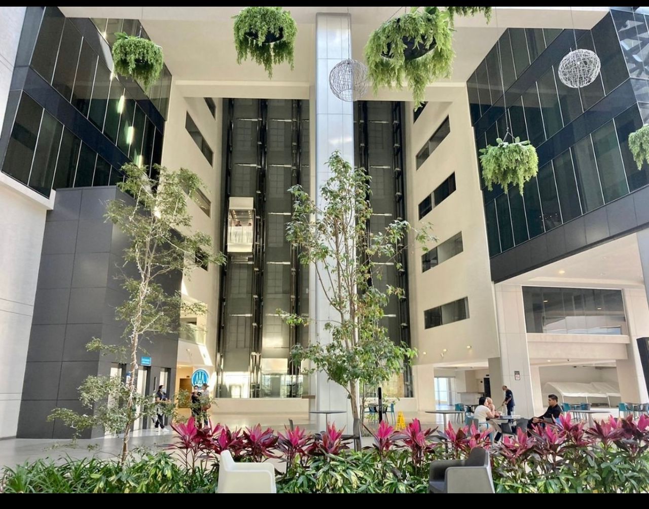 Amschell Robinsson-12