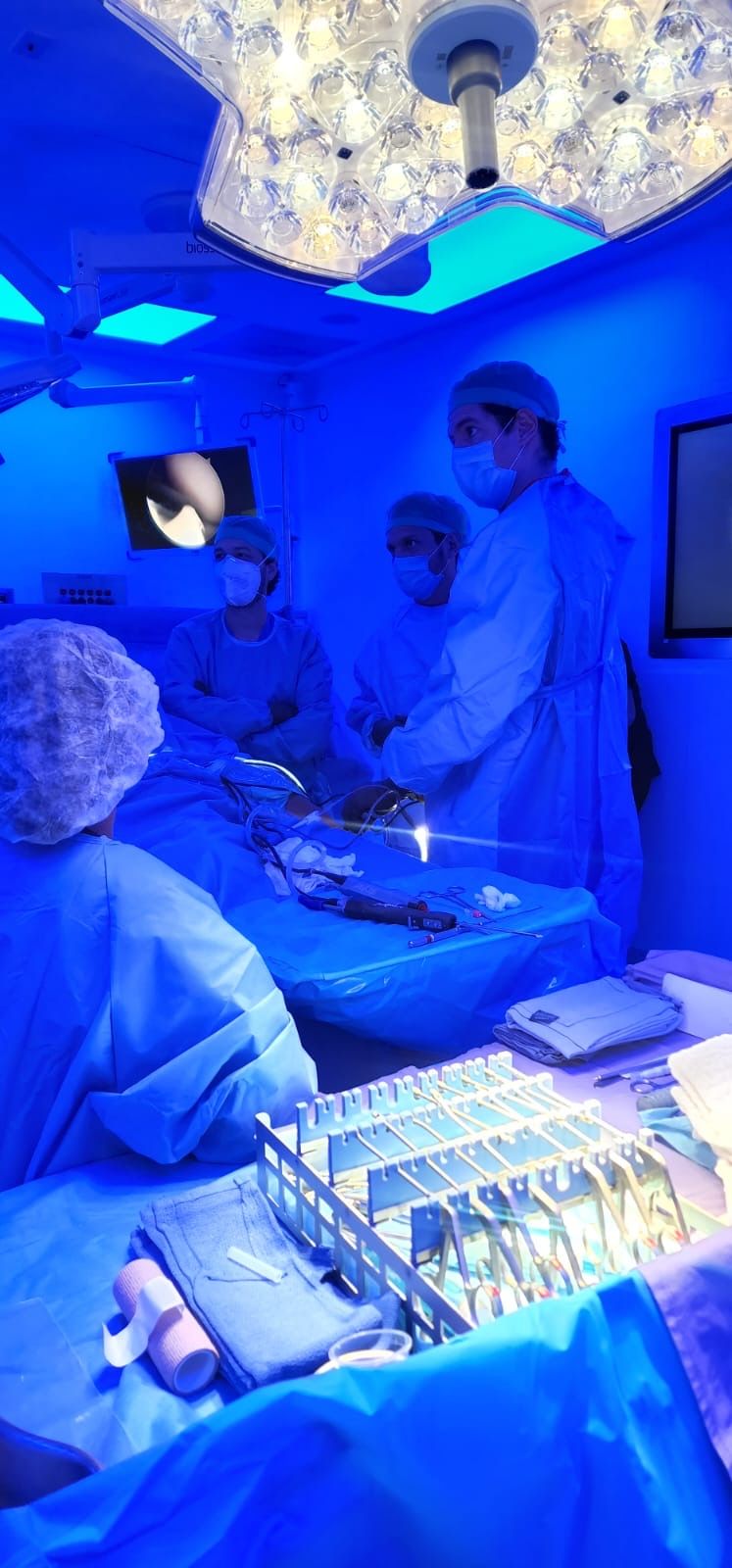 Mario Javier Ortiz De Montellano Gallaga-14