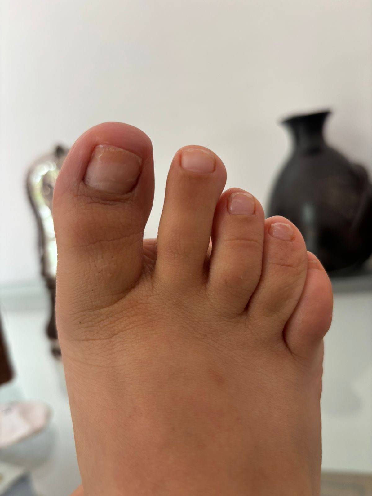 Lizette Rivera Peregrina-21