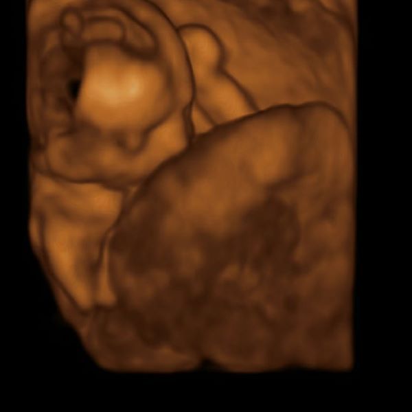 Carla Mariana Zamudio Valdez-11