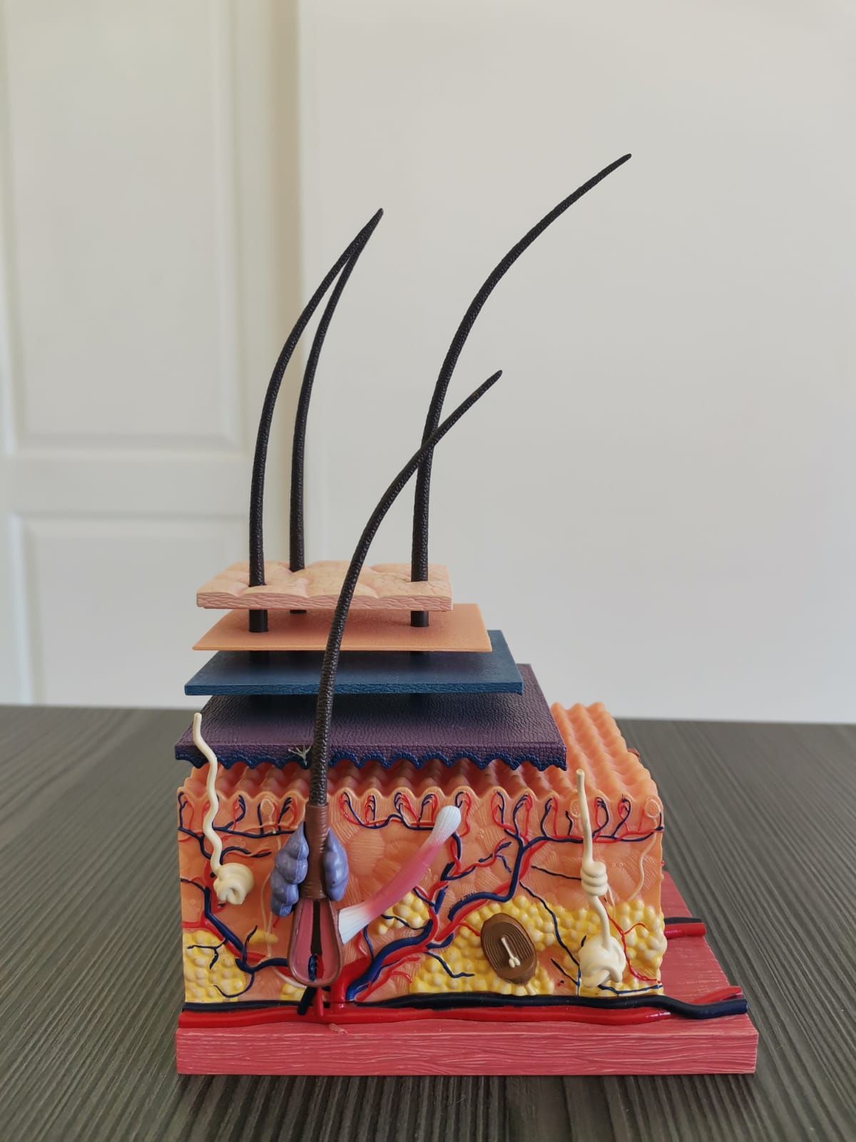 Mayra Estefania Miranda Flores-9