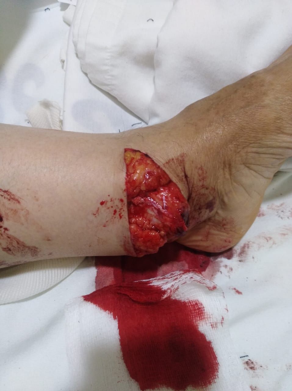 Juan José Luévano De La Cruz-23