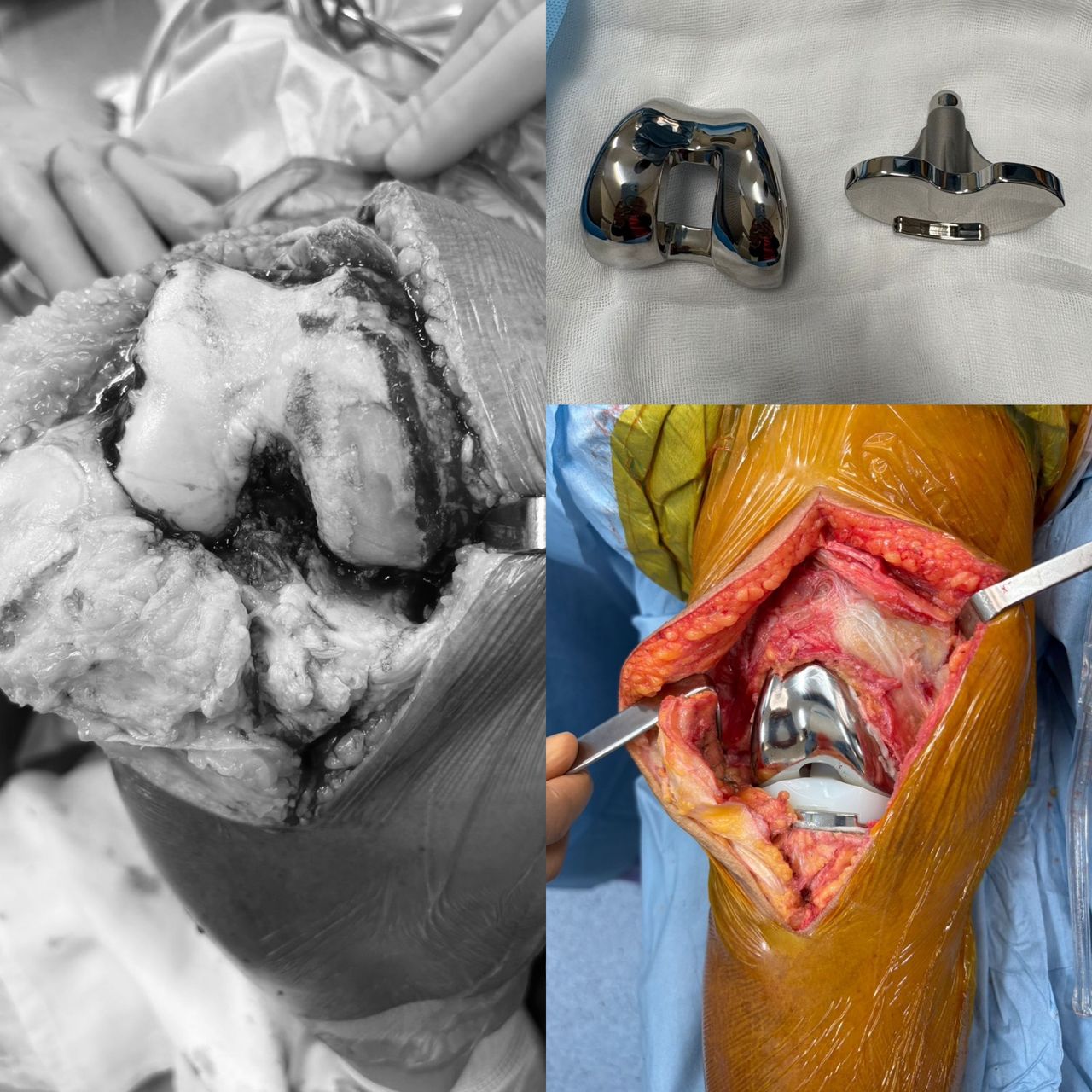 Rafael Medina Gutiérrez-7