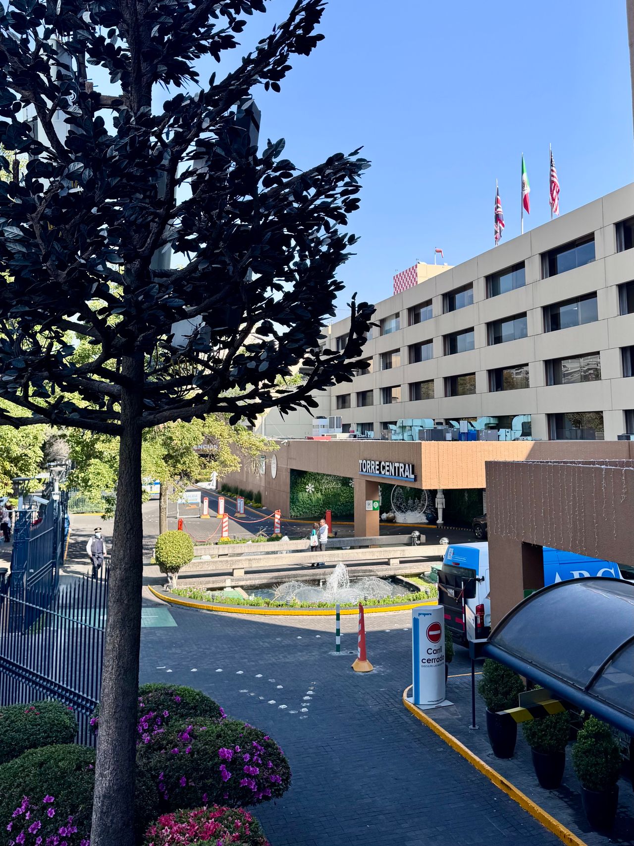 Dario Borraz Noriega-3