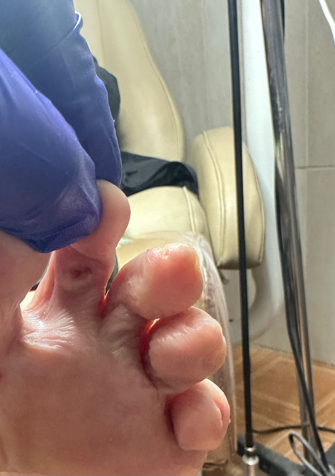 Lizette Rivera Peregrina-3