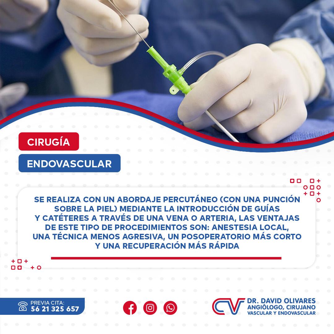 Jorge David Olivares Garcia-13