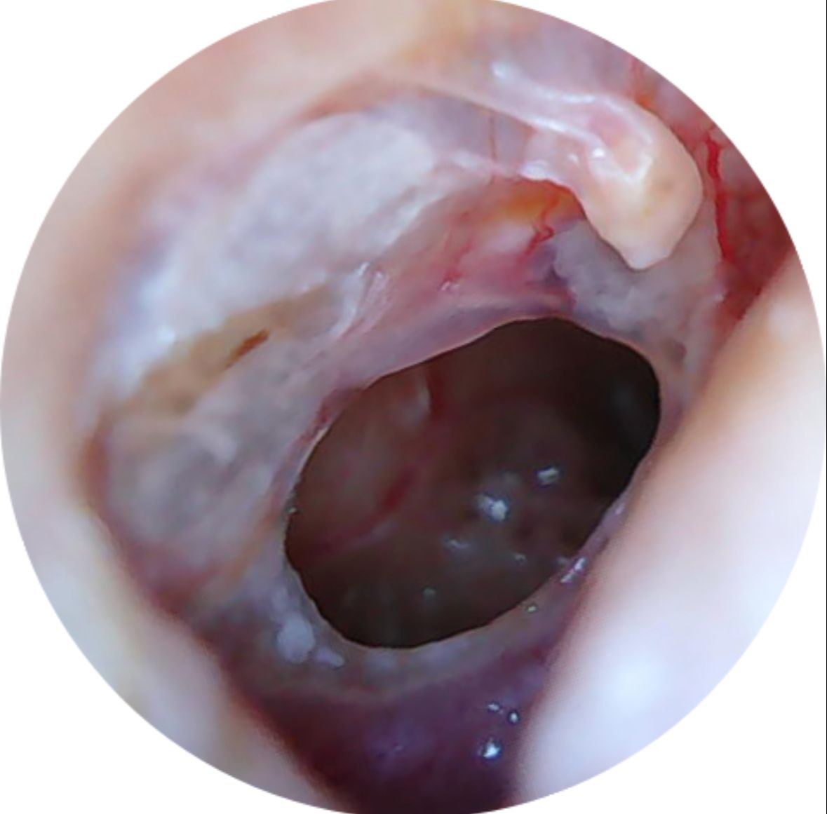 María Fernanda Uribe Quiroz-2