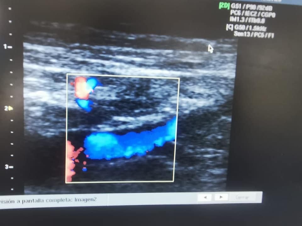 Carlos Gómez Guzmán-6