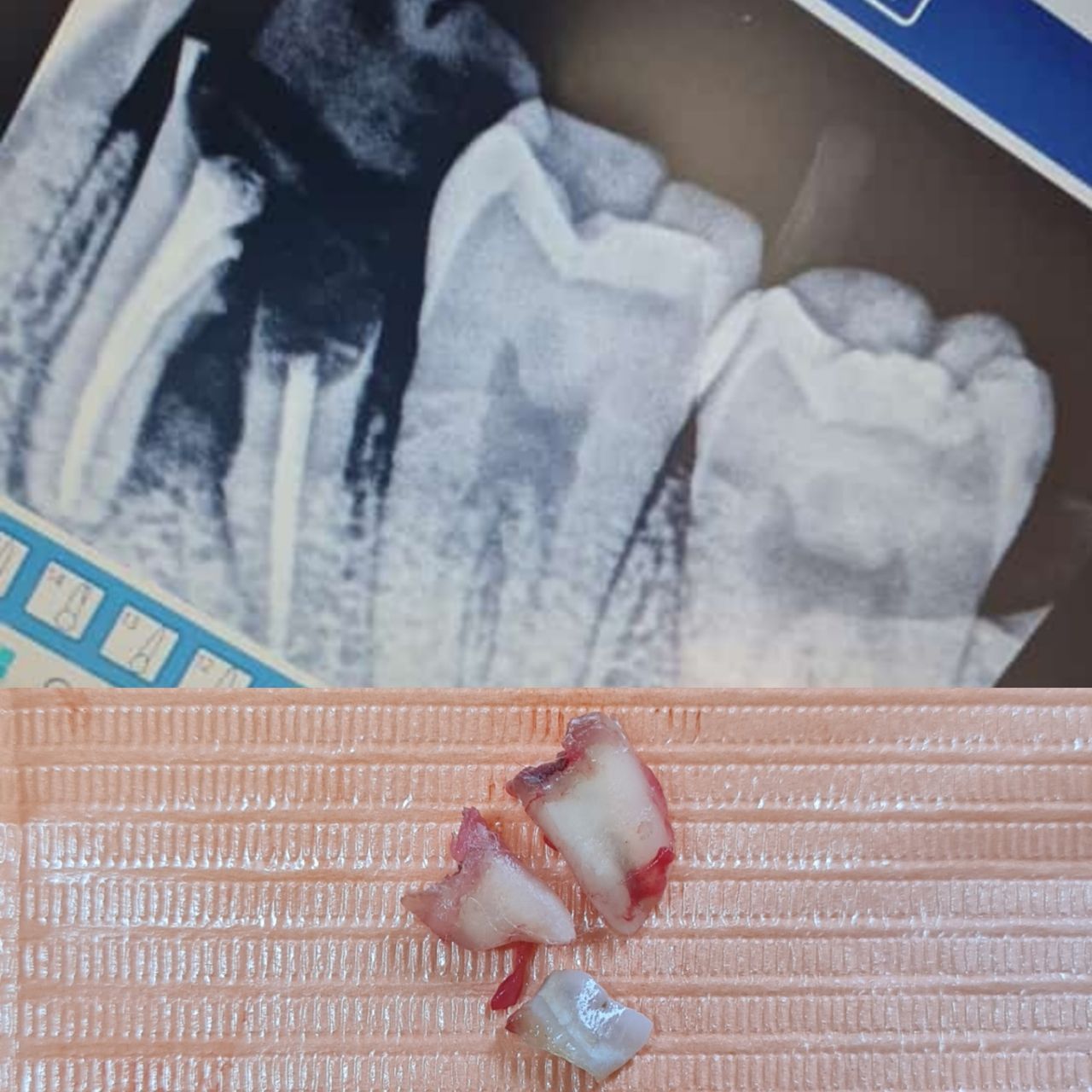 Aimée Quiroz Mendoza-55