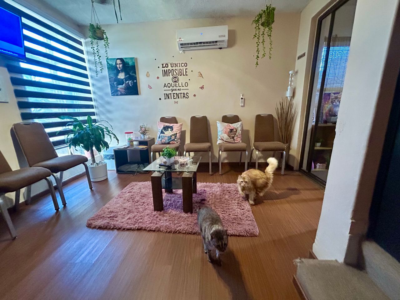 Jhoana Mendoza Larios-7