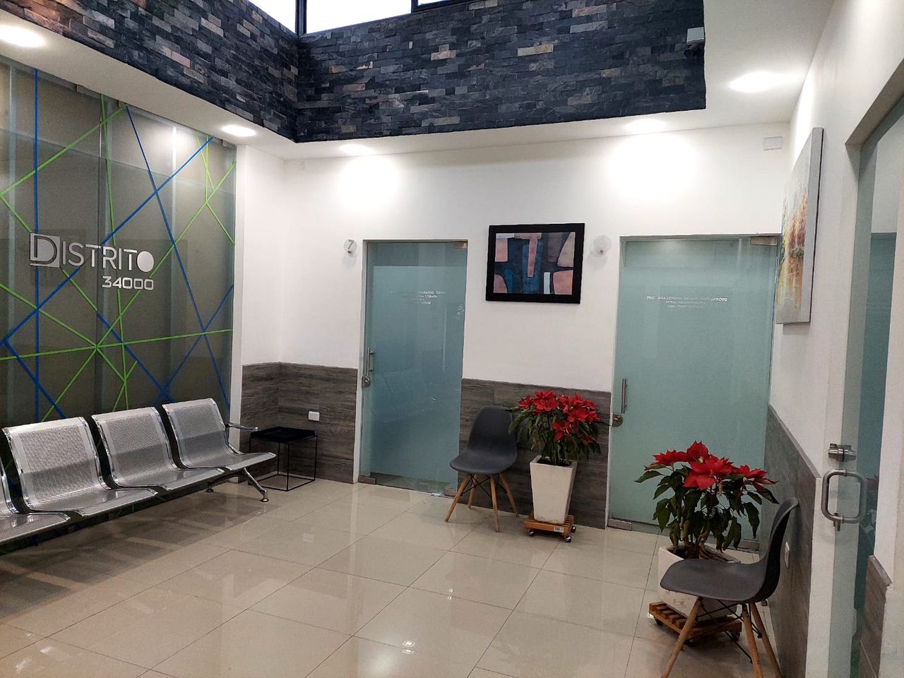 Ana Cristina Limones Franco-2